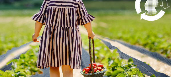 Initiative ERDE Landwirtschaft Beitragsbild