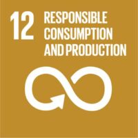 E SDG Icons 12 Kunststoff Kreislaufwirtschaft Recycling
