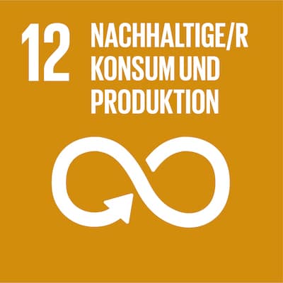 SDG12 Nachhaltig Konsum Und Produktion DE