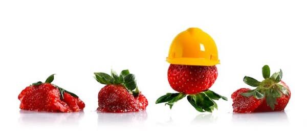 Produktschutz Erdebeeren Verpackung Beitrag