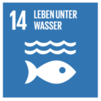 SDG Meeresschutz